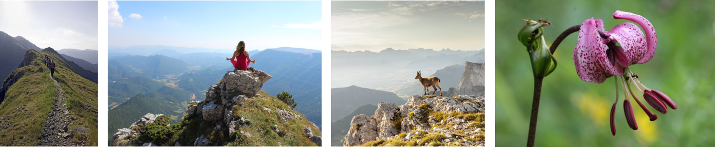 sejour-tout-compris-vercors-randonnee-le-piroulet