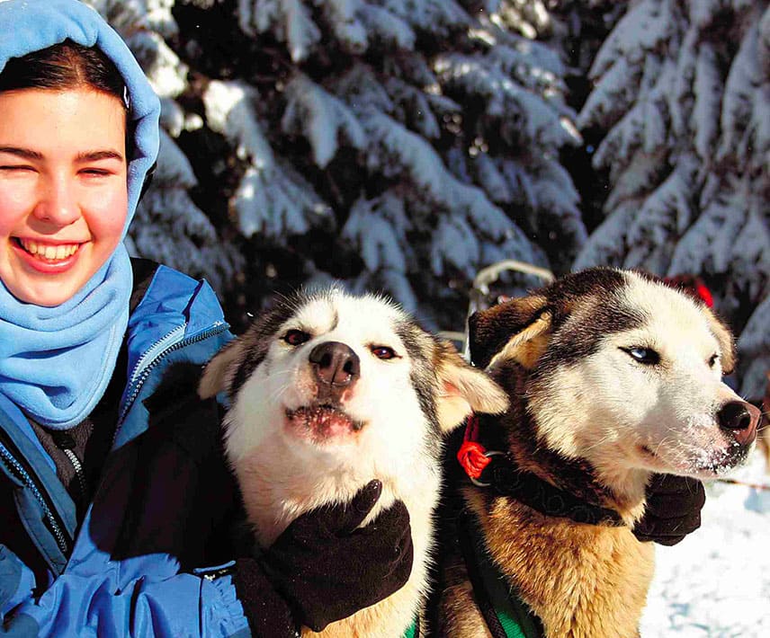 chiens de traineau Vercors Le Piroulet