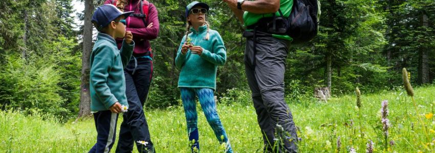 le_piroulet_prestataires_inspiration_vercors_guides_produits_locaux_authenticité